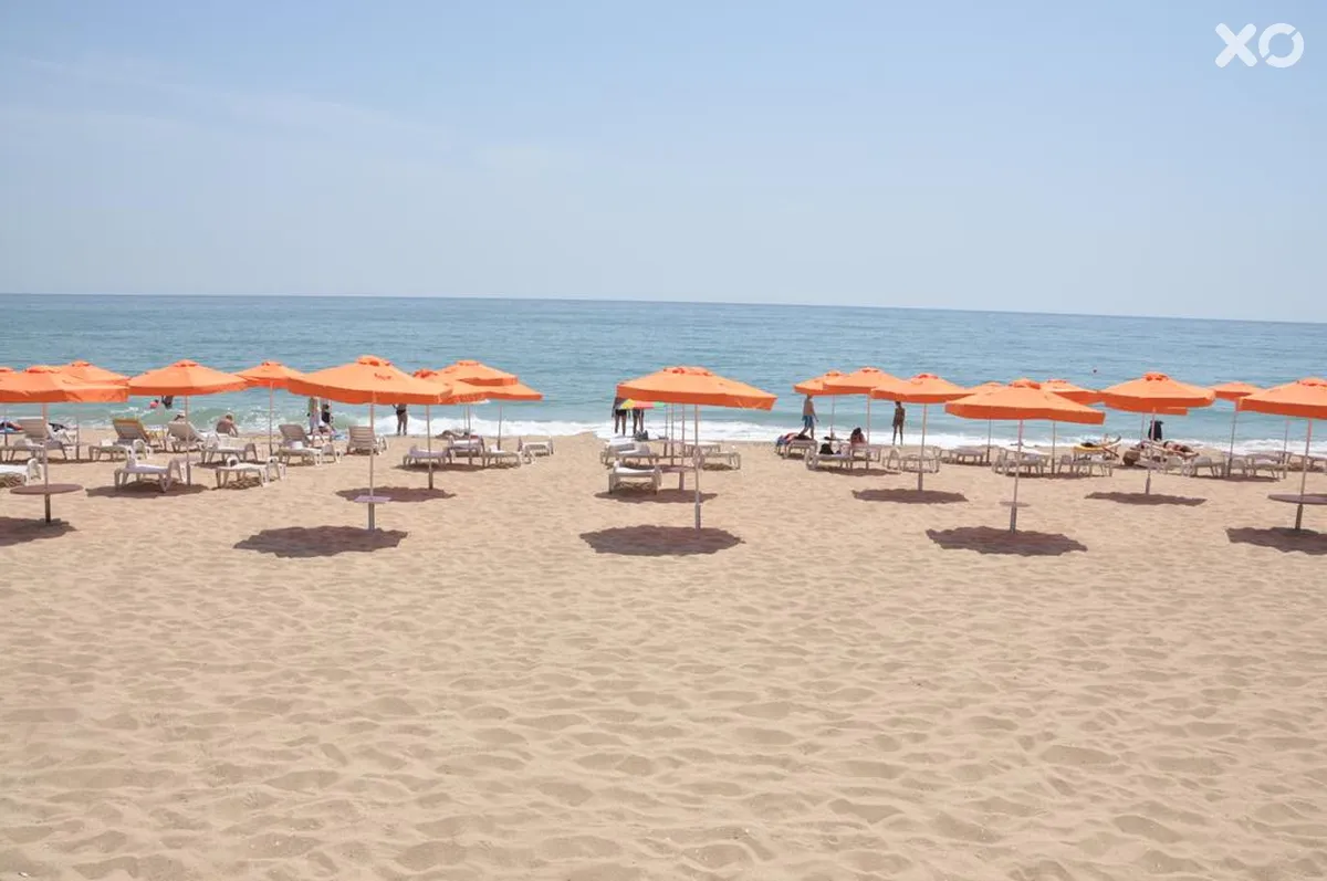Palm Beach