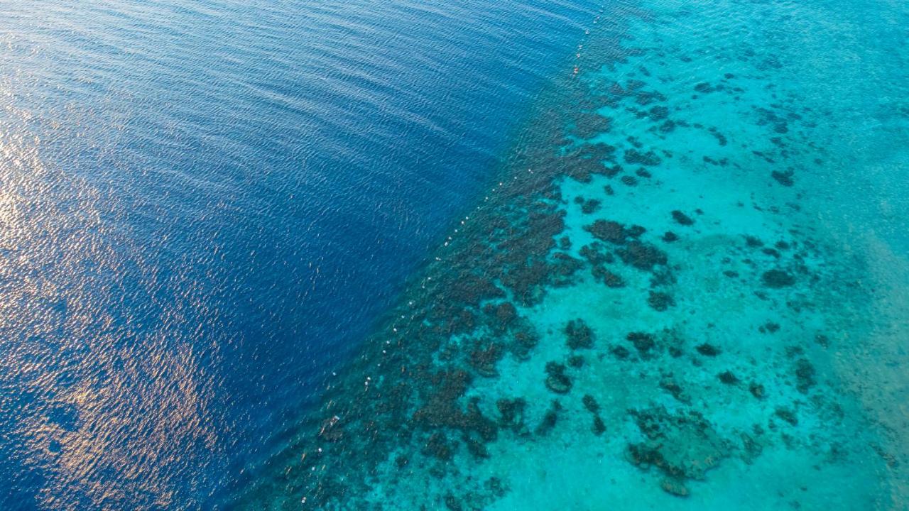 Sunny Days El Palacio