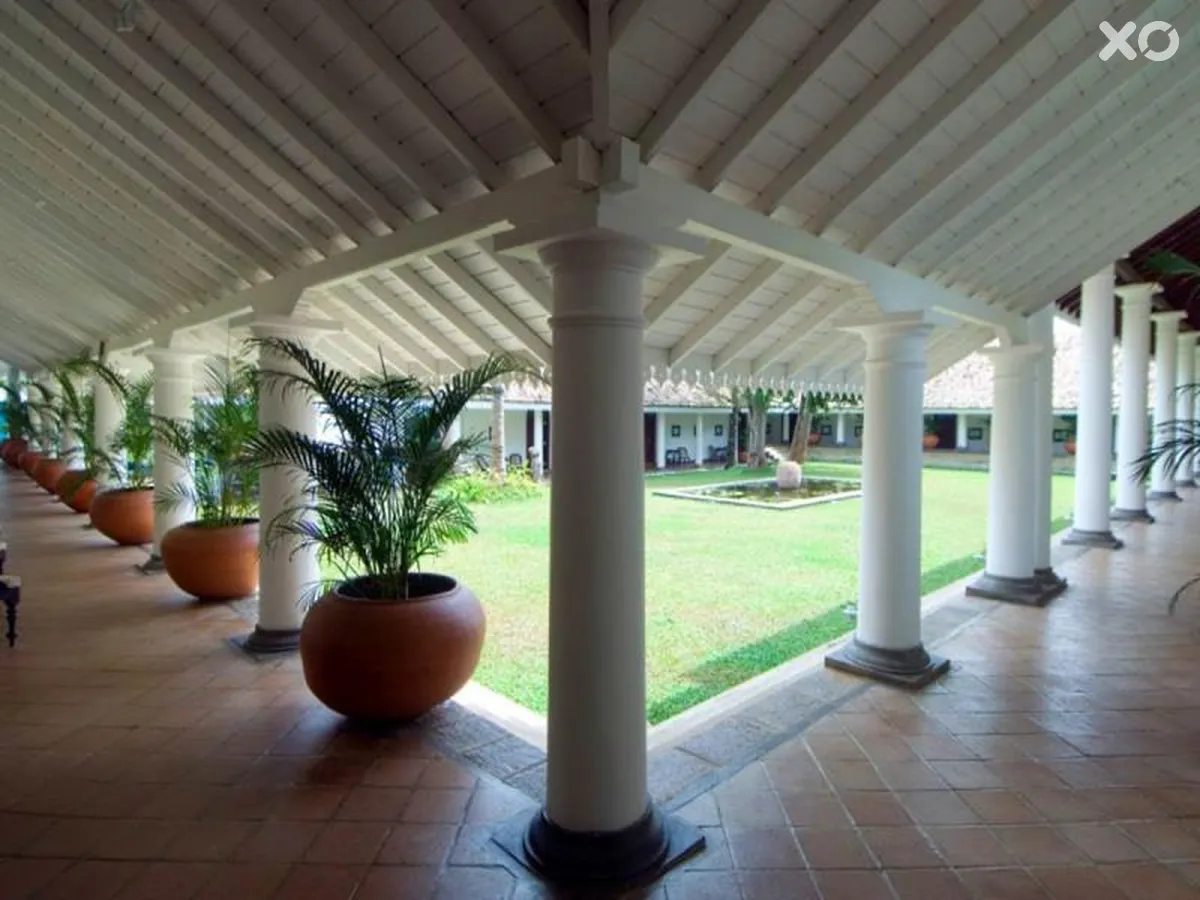 Tamarind Hill