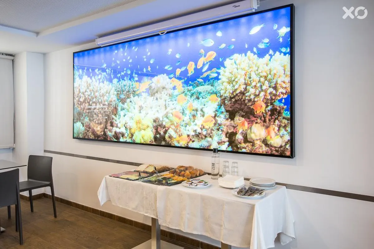 Neptuno Apartamentos