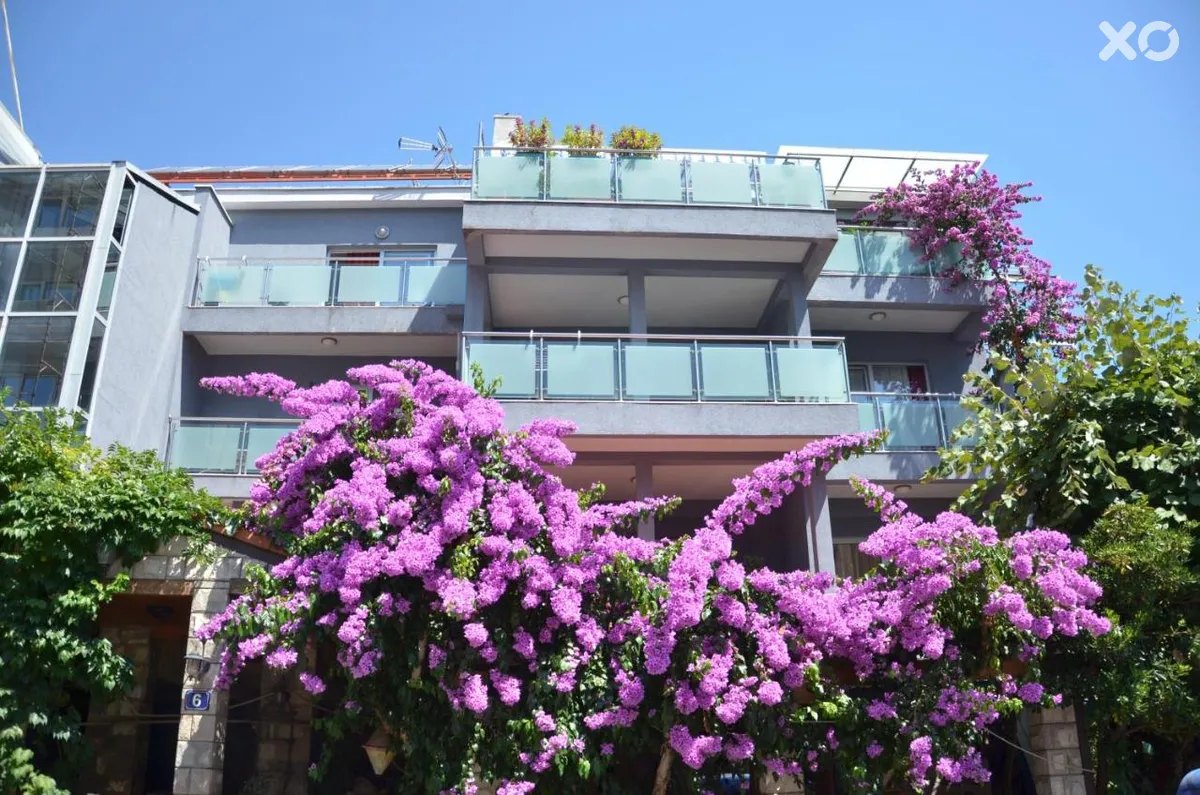 Aquarius Hotel