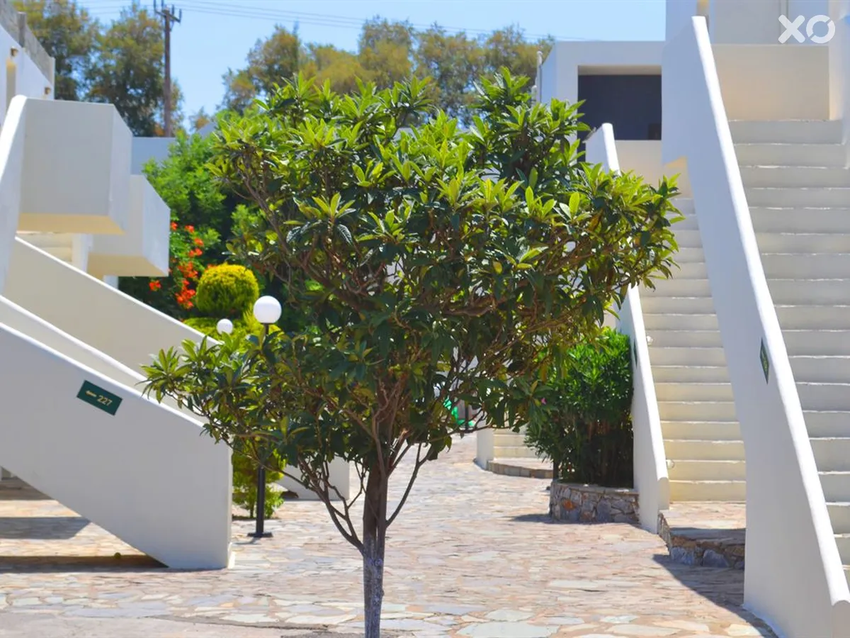Bomo Club Amnissos Residence