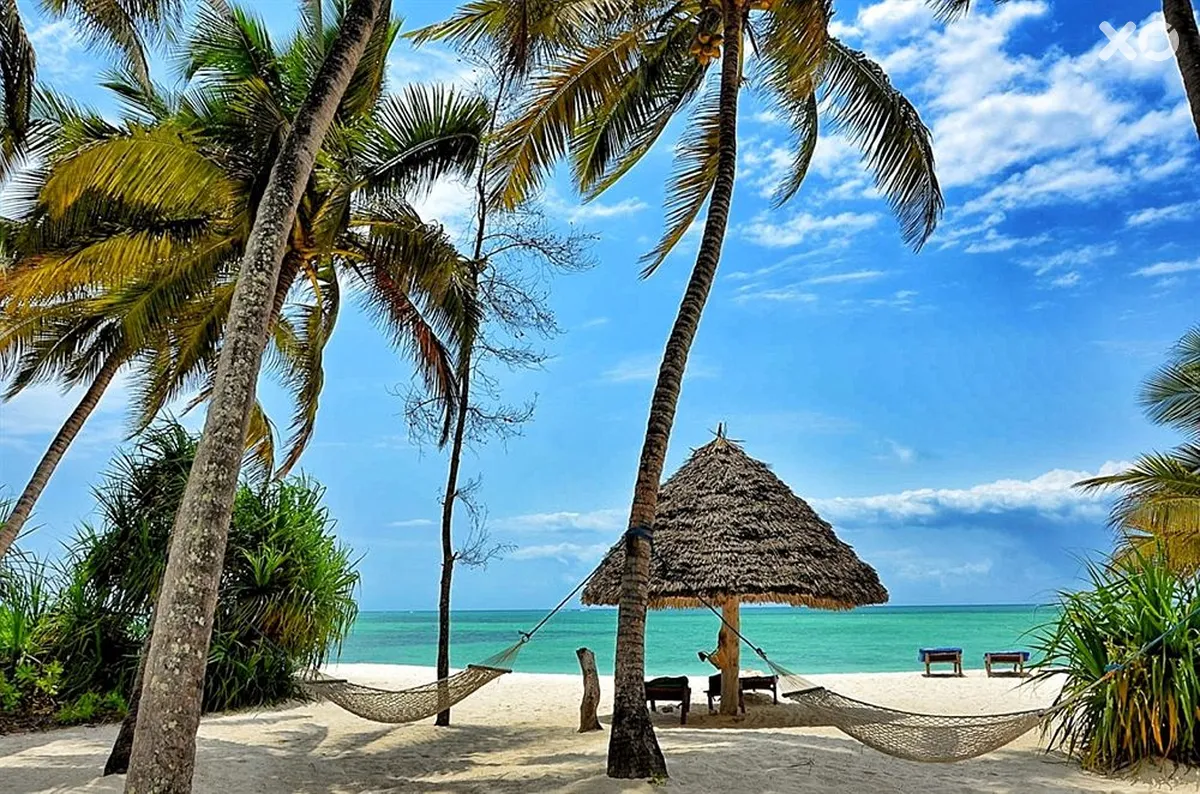 Pongwe Beach Hotel