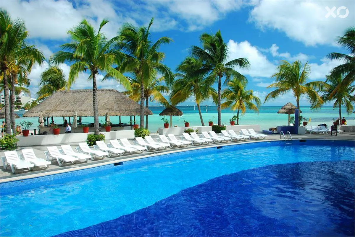 Grand Oasis Palm