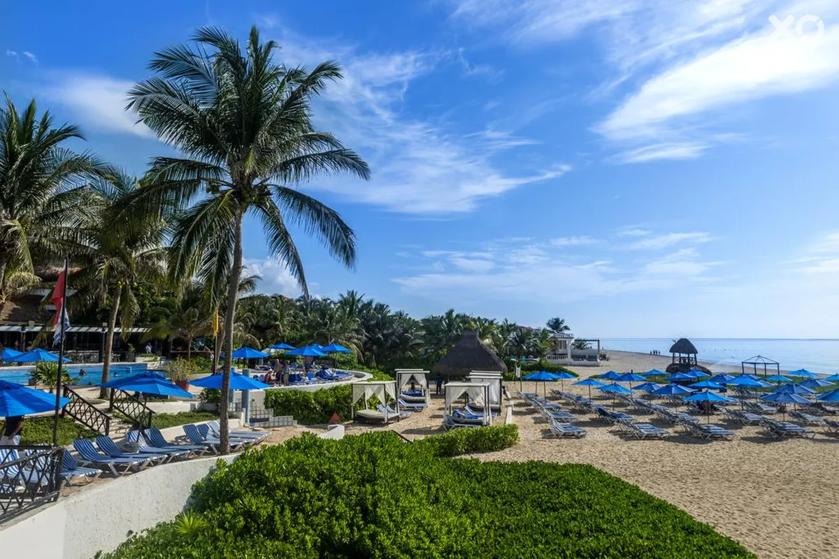 The Reef Playacar