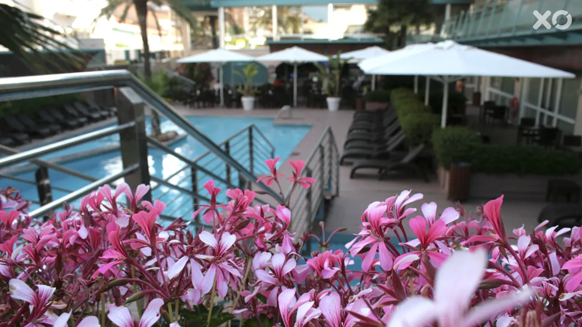 Kaktus Playa Hotel