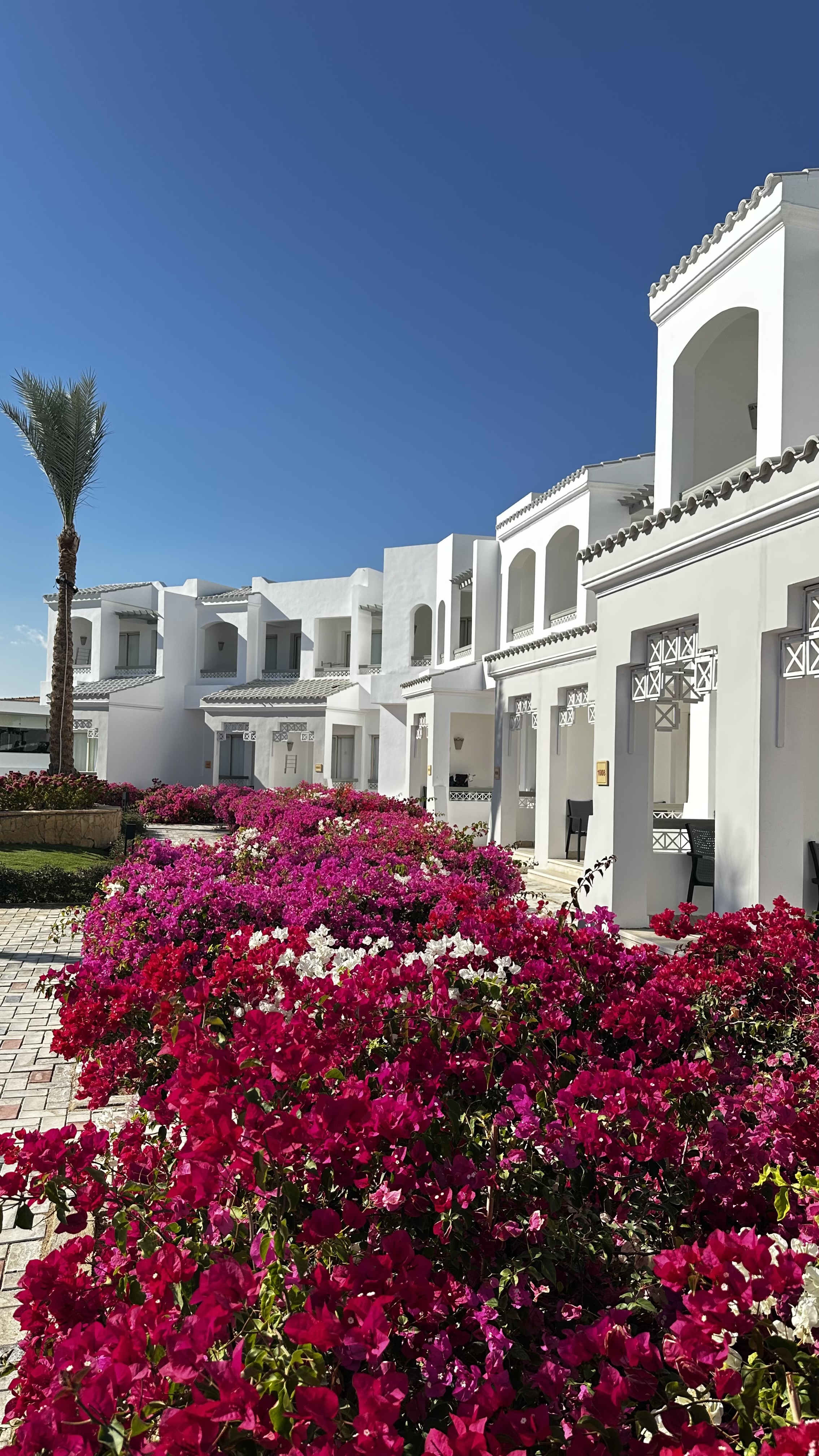 Invidia Coral Beach Tiran 5*(ex.Coral Beach Resort Tiran)