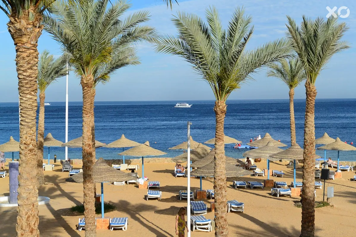 Queen Sharm Resort