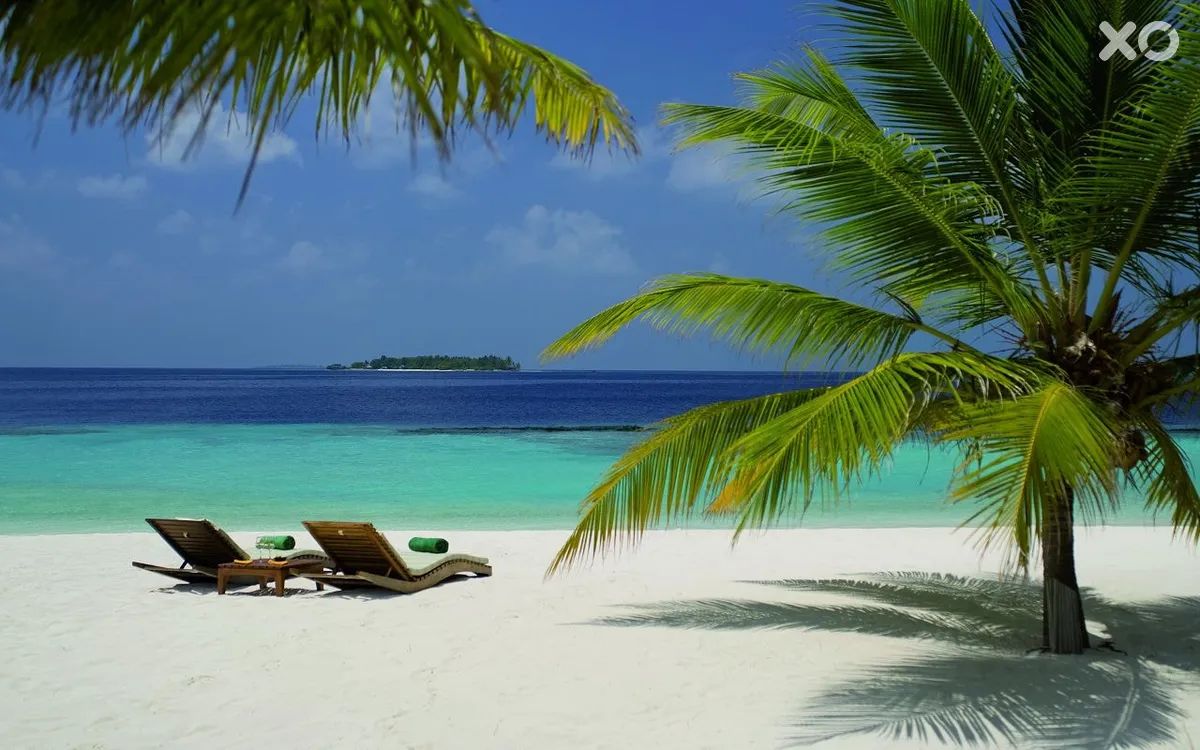 Coco Bodu Hithi