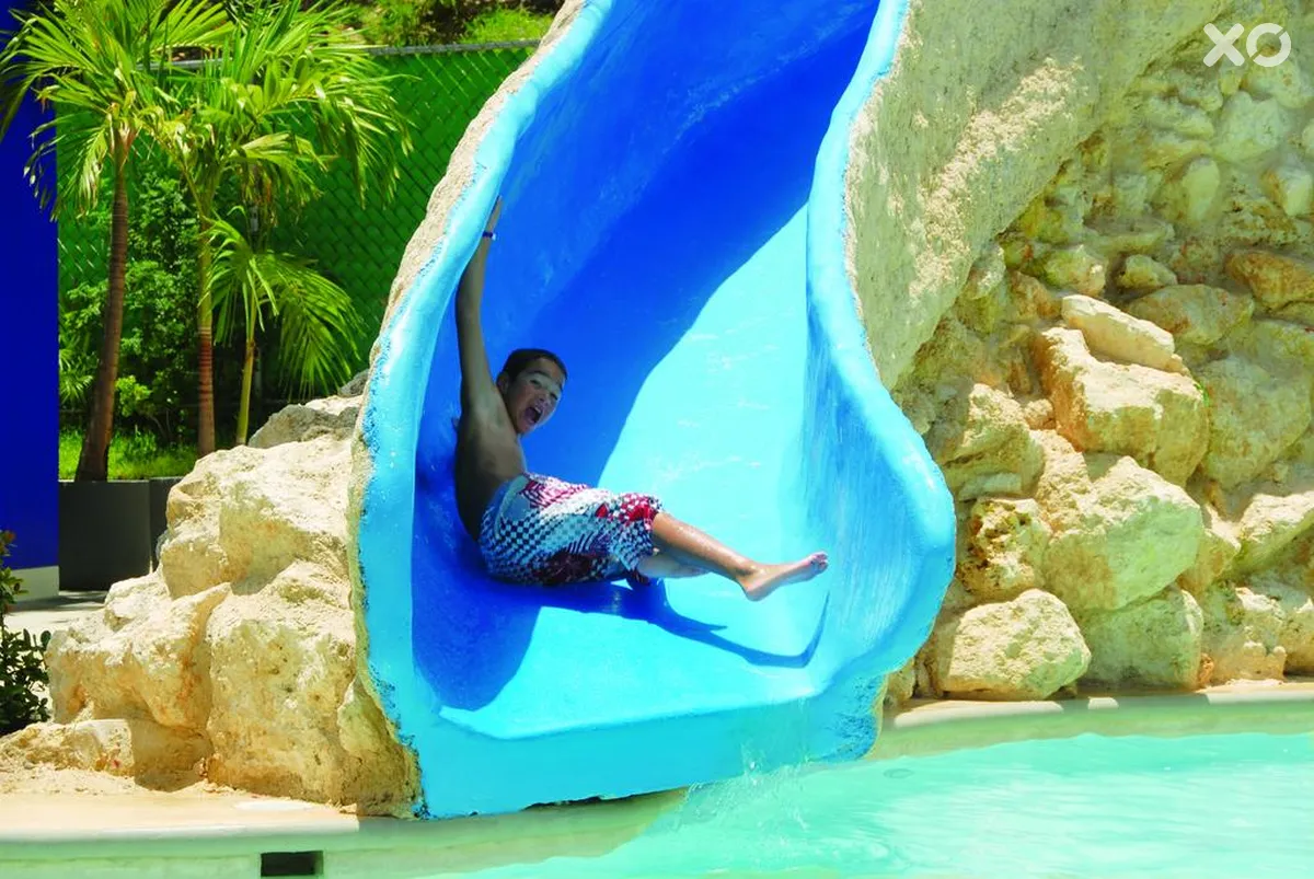 Grand Oasis Palm