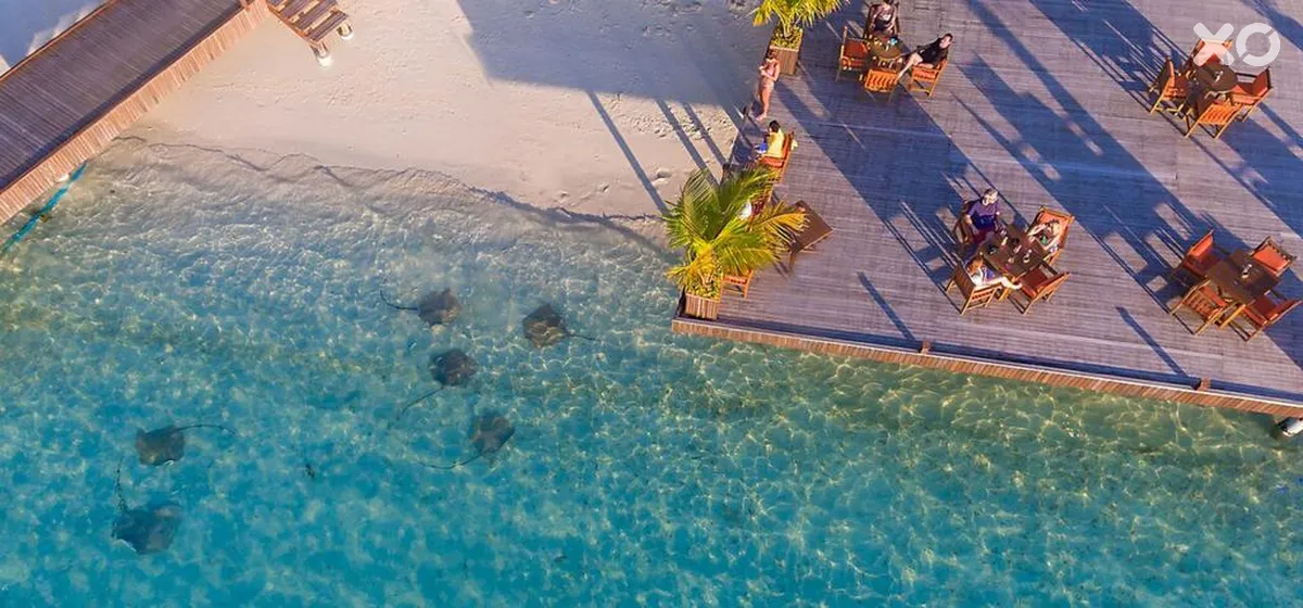Sun Siyam Vilu Reef