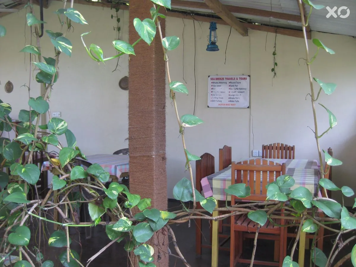 Sea Breeze Guesthouse