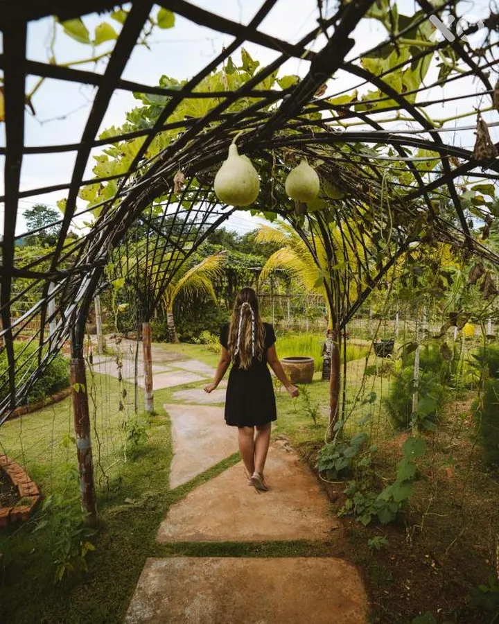 Anana Ecological Resort Krabi