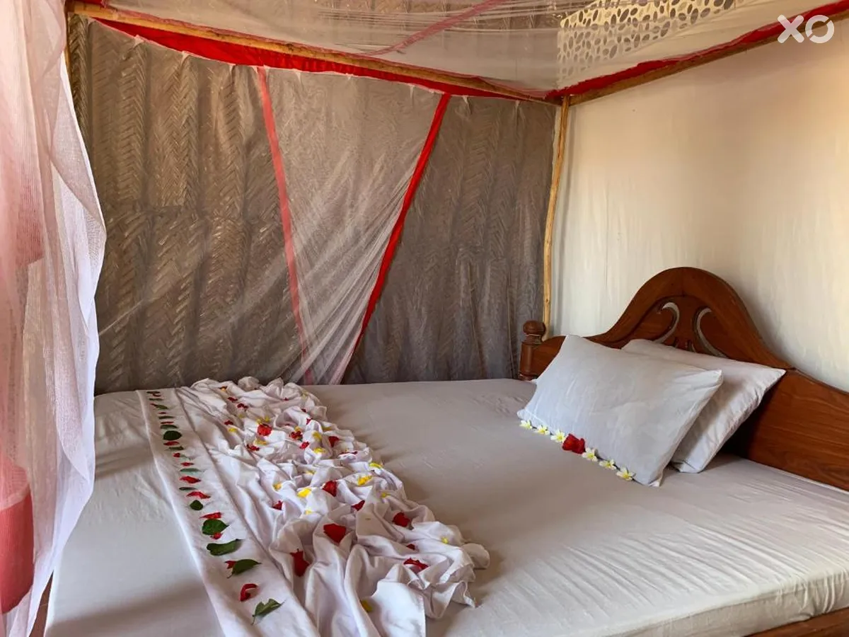 New Jambo Bungalows