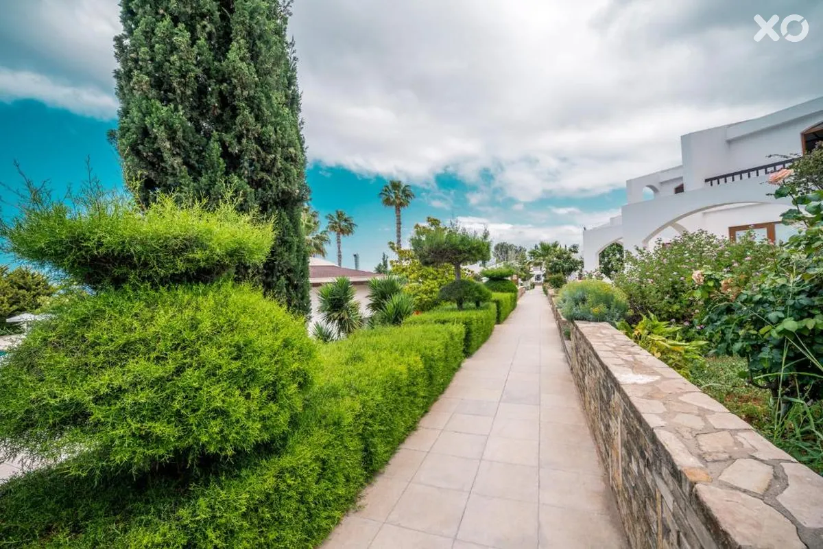 The Olive Tree Hotel