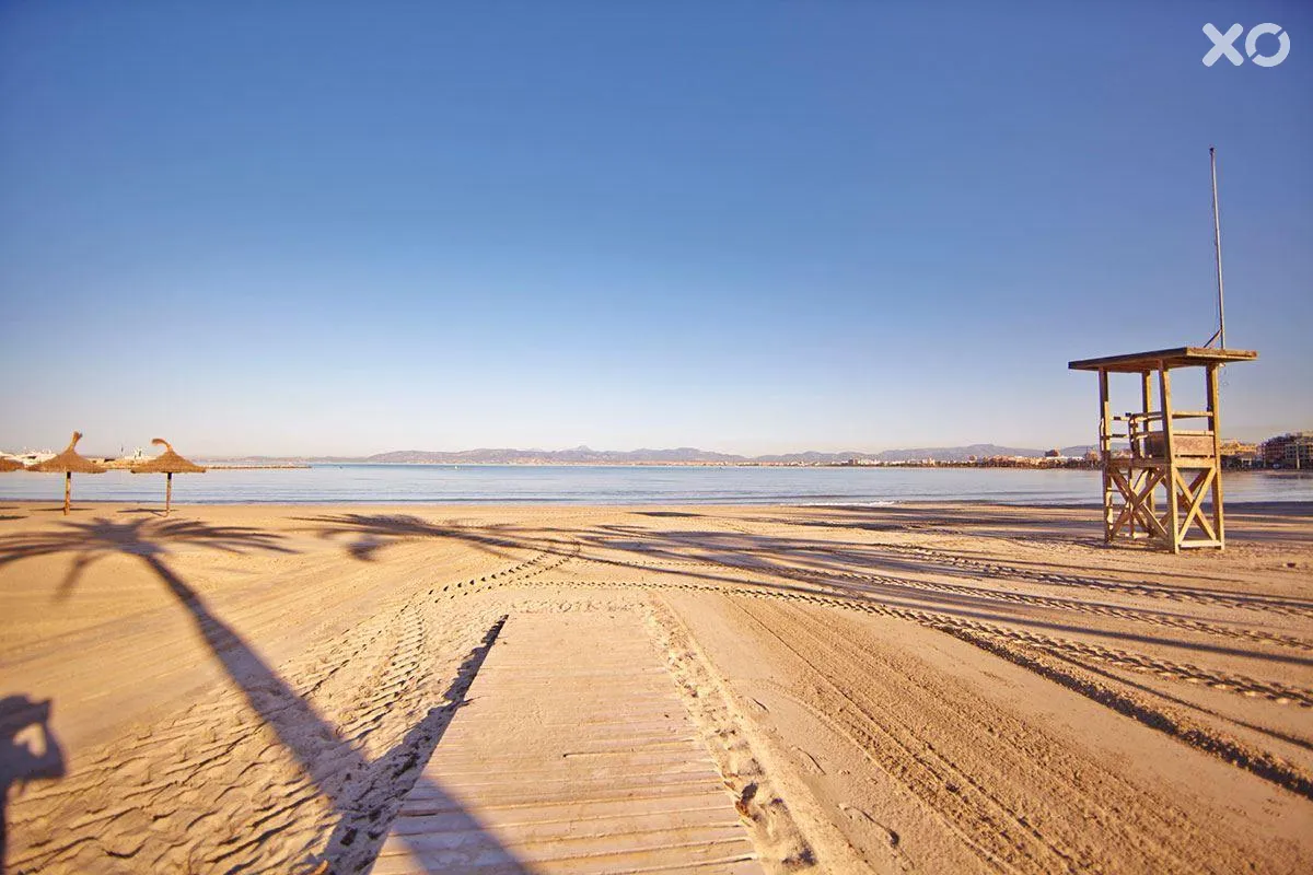 Sahara Nubia Gobi Bay