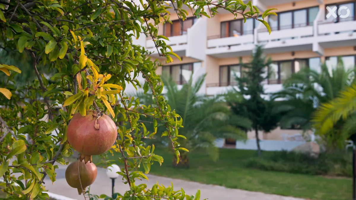 Atlantica Thalassa Hotel