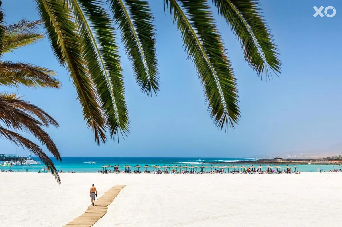 Barcelo Fuerteventura Royal Level Adults Only