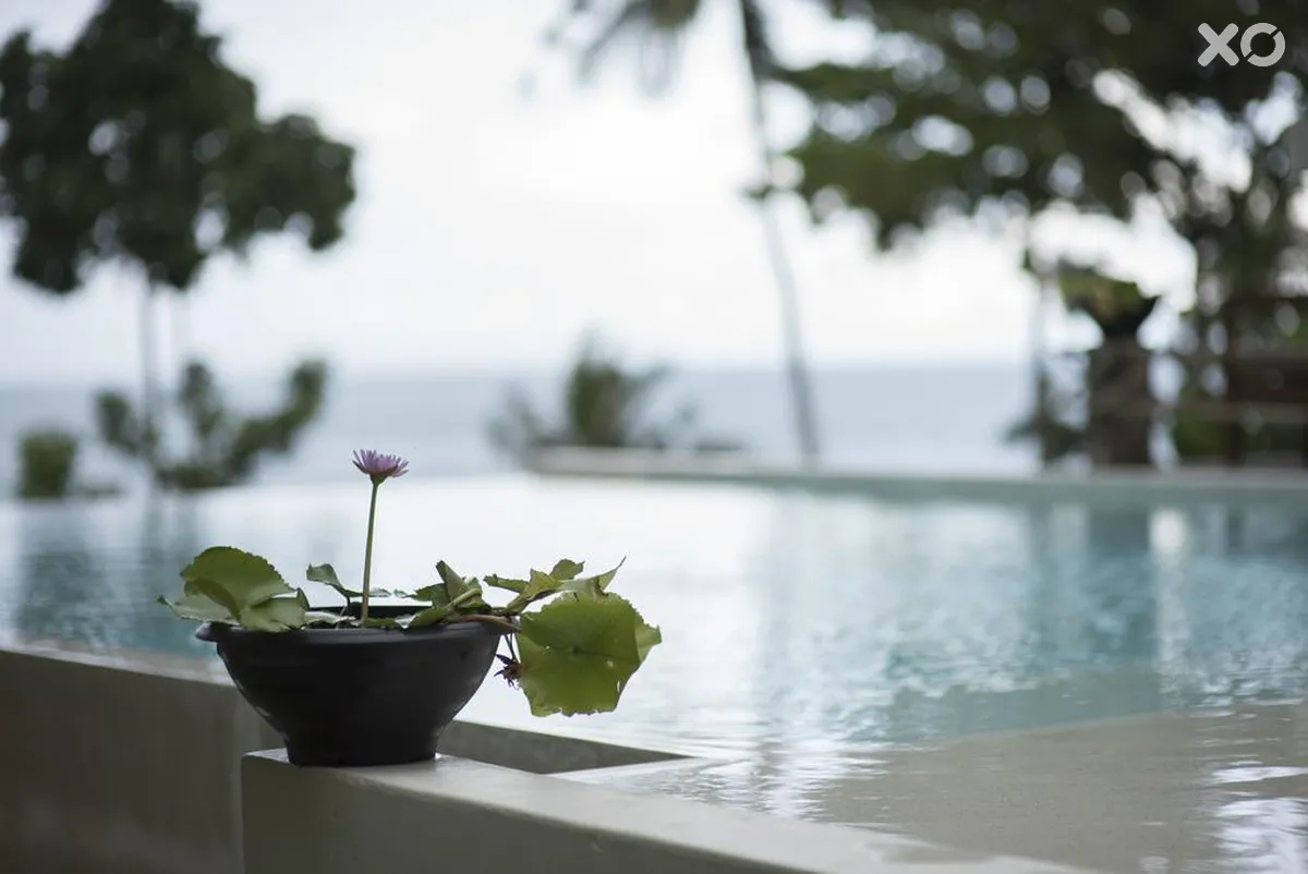 Nest Sense Resort