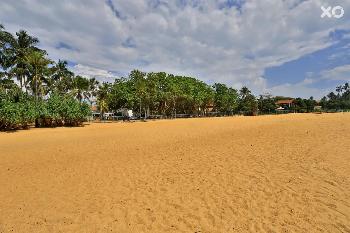 Hibiscus Beach Hotel