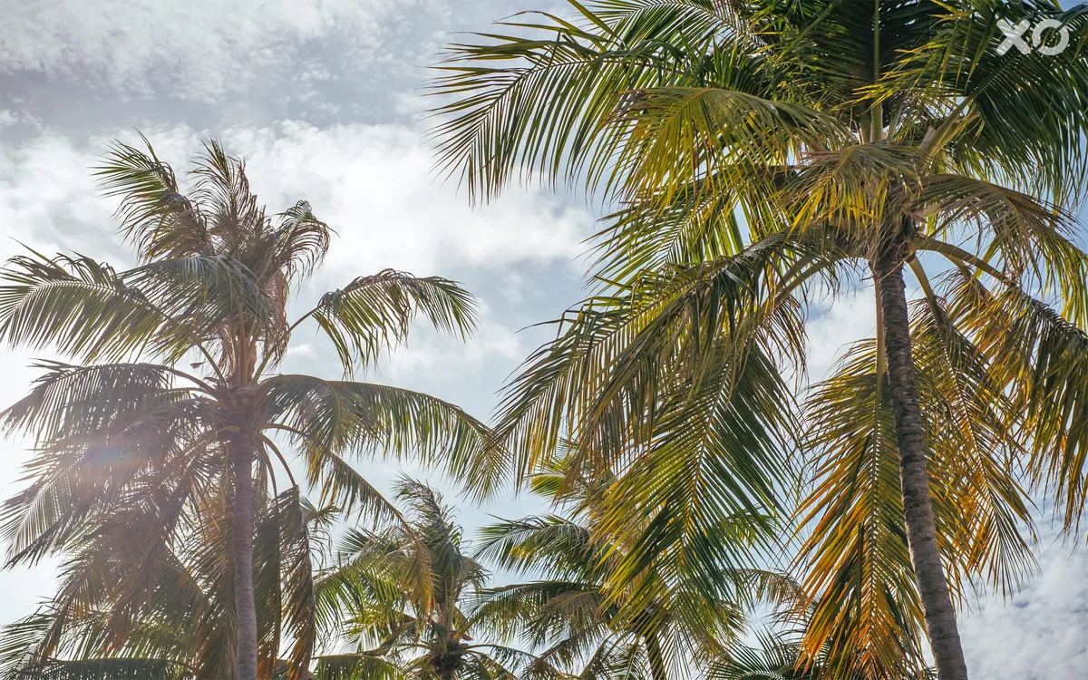 Finolhu