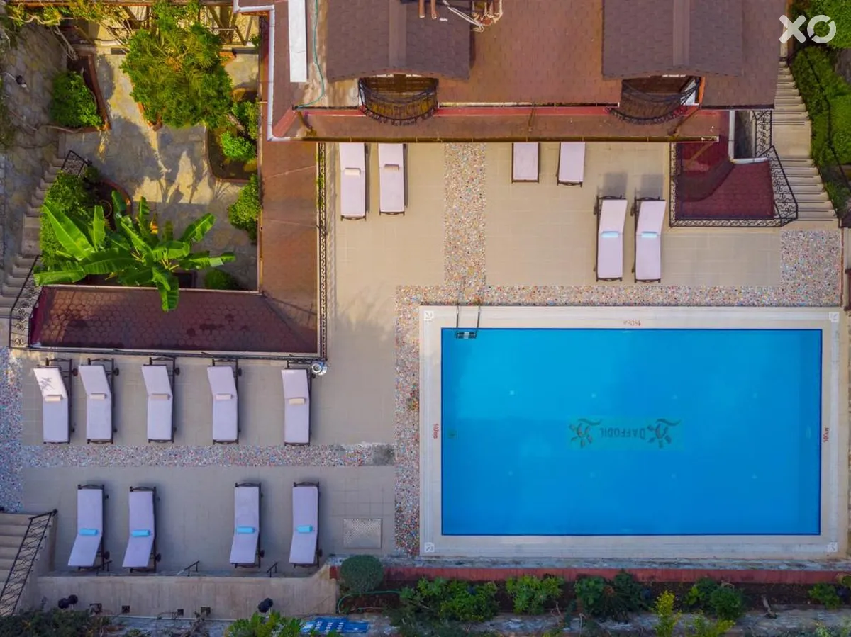 Villa Daffodil Hotel
