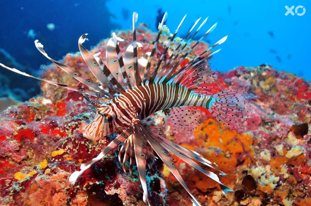 Dhigali Maldives