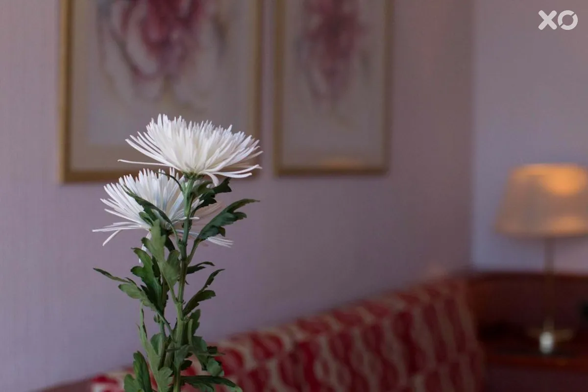 Dunas Don Gregory Hotel