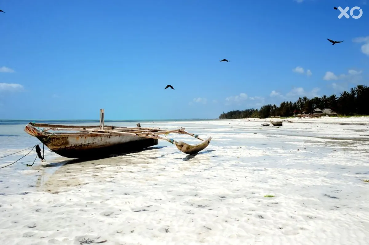 Sahari Zanzibar