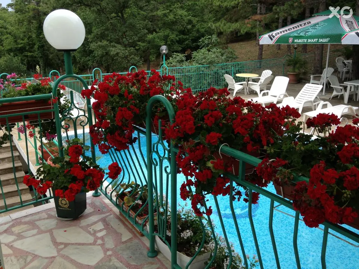 Zora Hotel