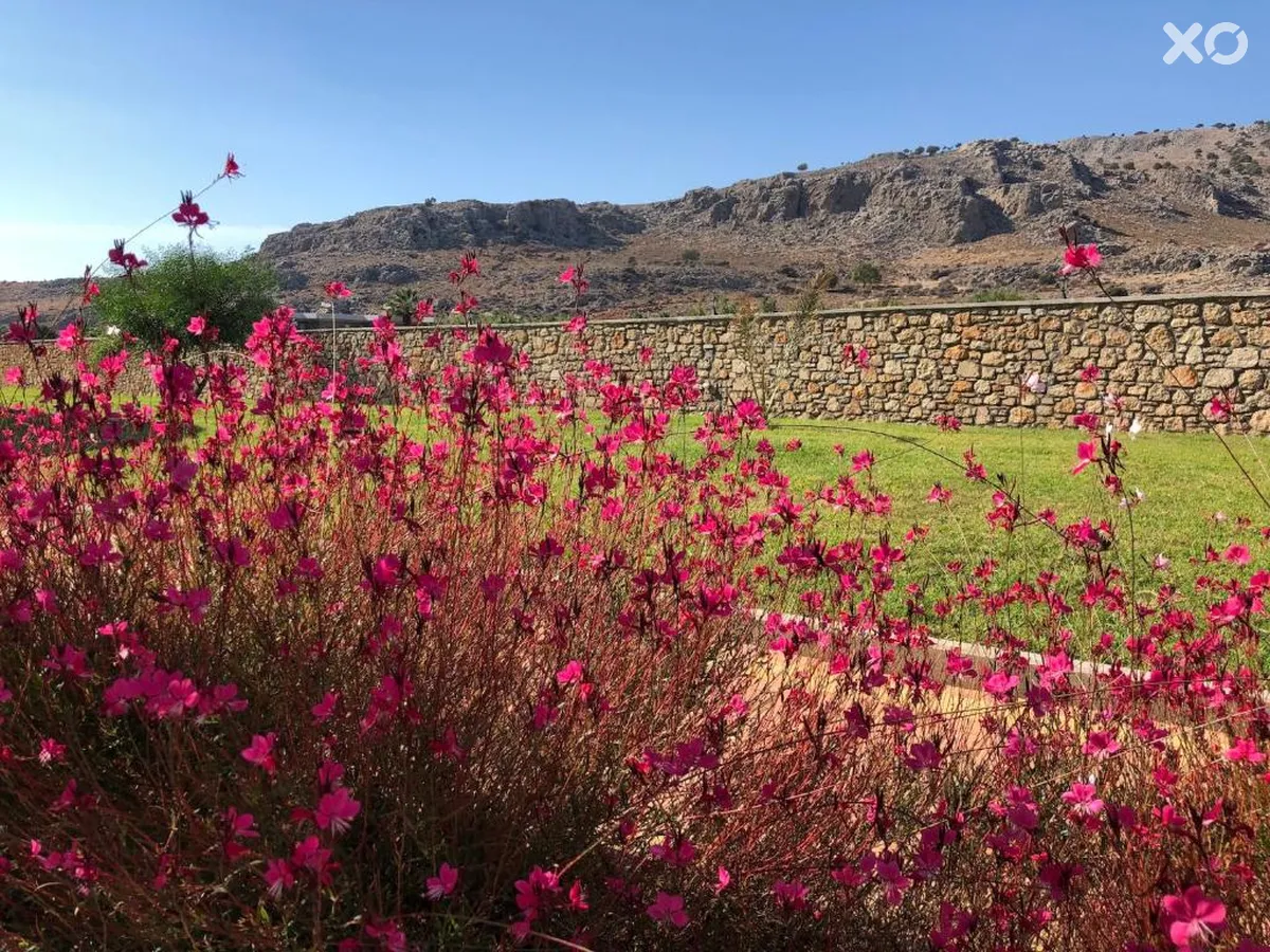 Estrella Villas