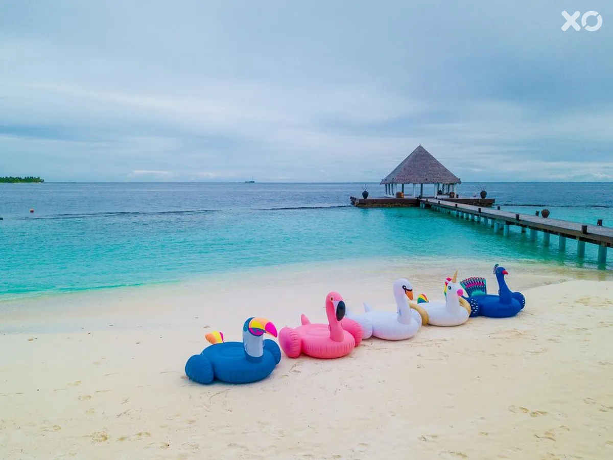 Coco Bodu Hithi