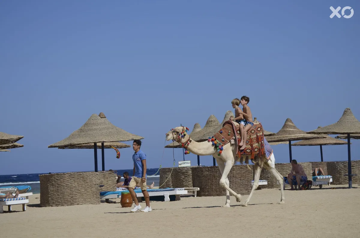 Pensee Beach Resort Marsa Alam operated by The Three Corners Hotels & Resorts
