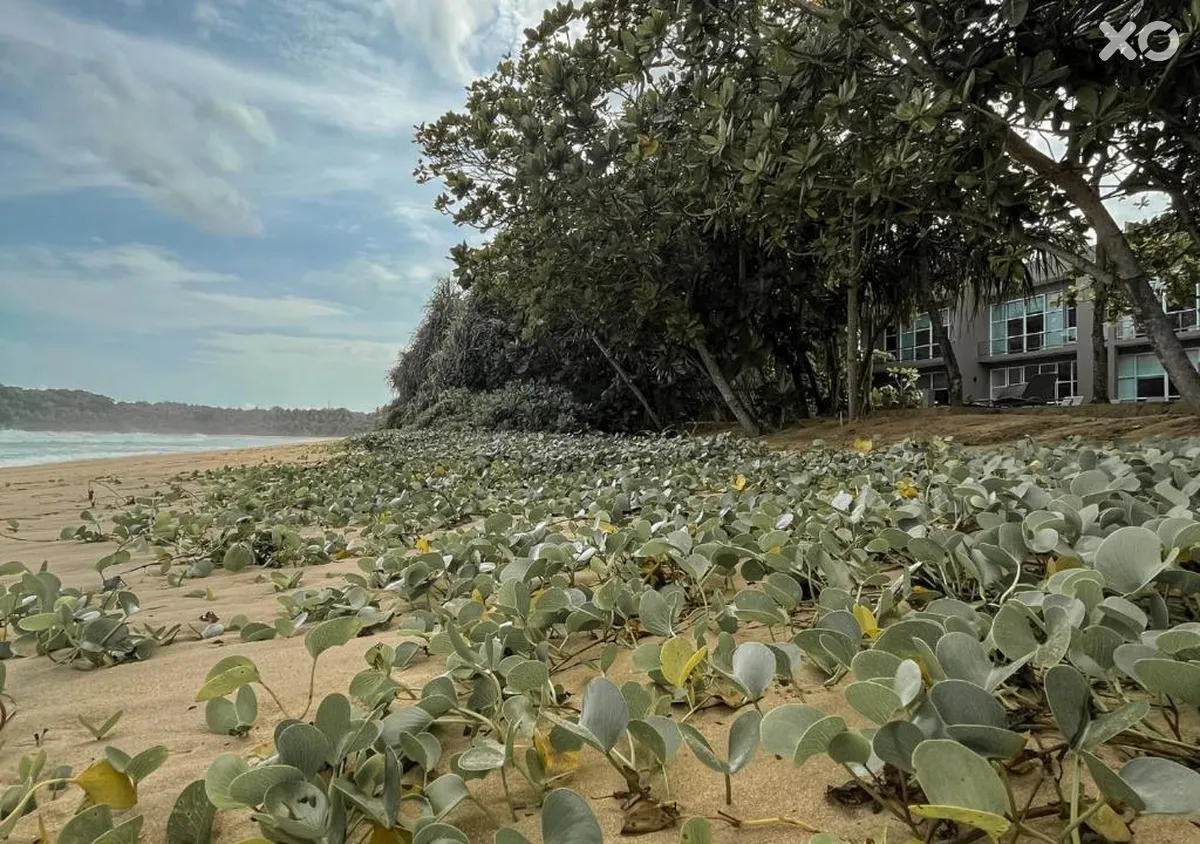Talay Villa