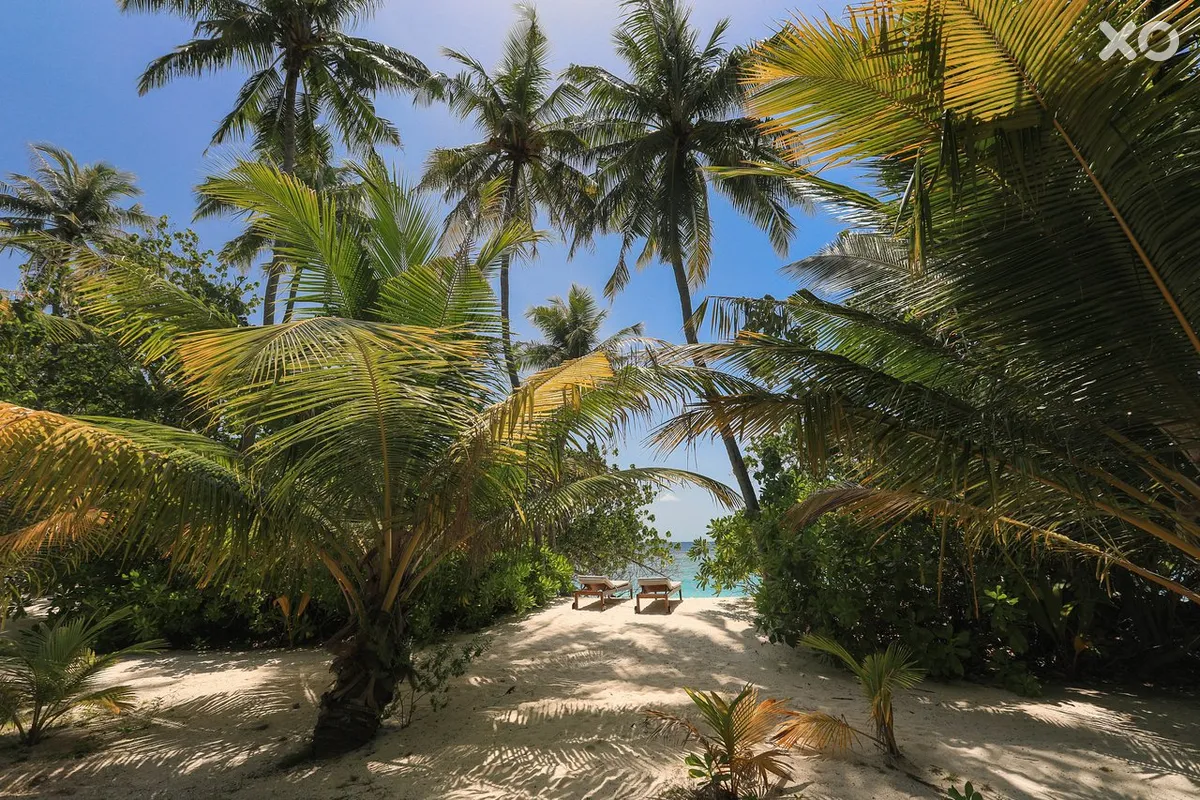 Bandos Maldives