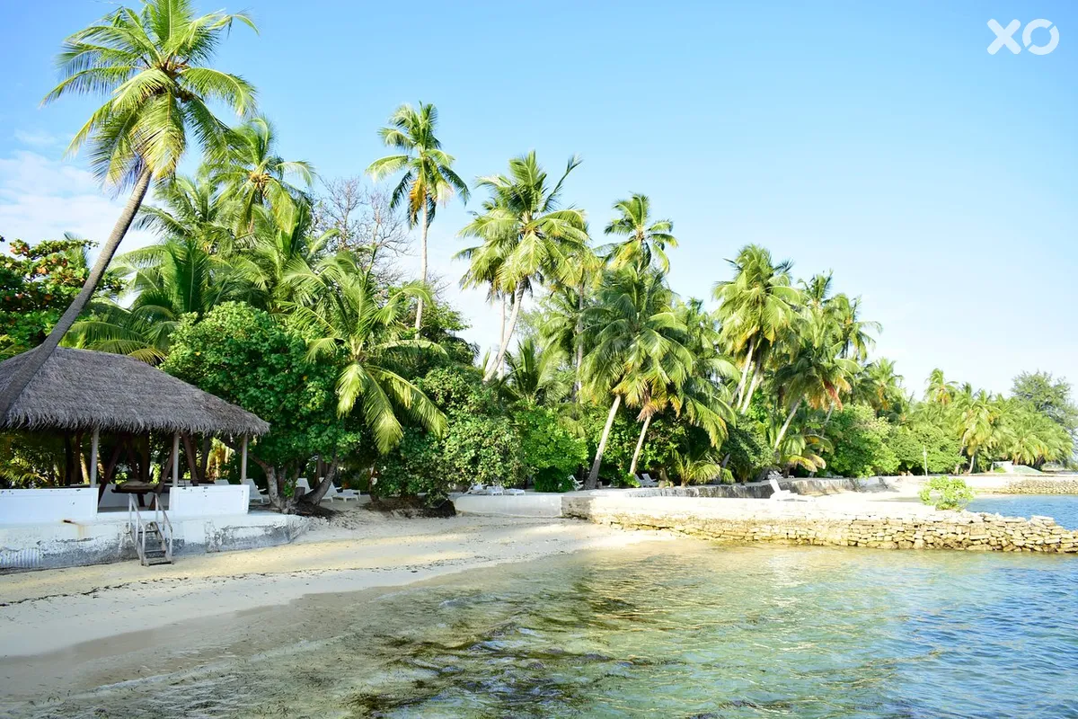 Equator Village