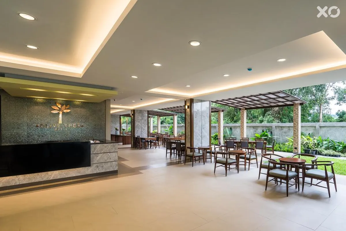 Olive Tree Hotel