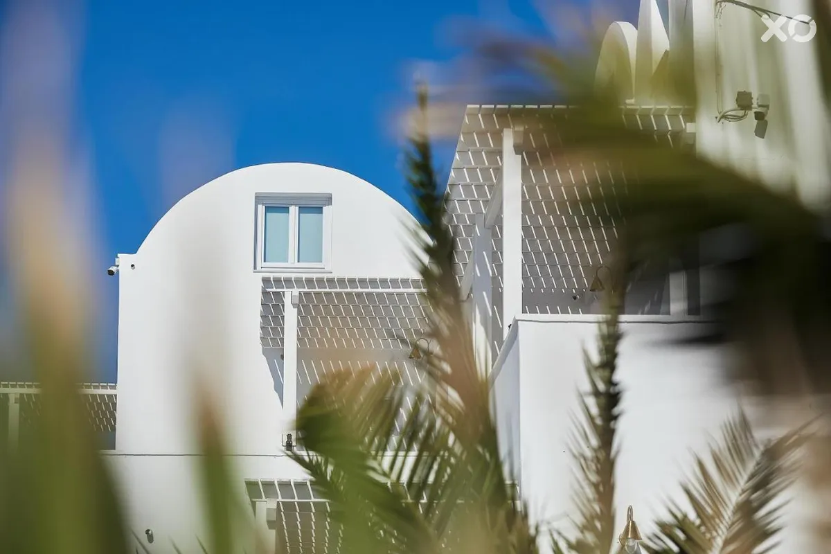 Petri Suites