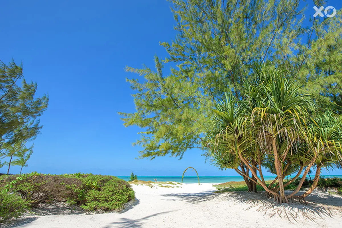 Hakuna Majiwe Beach Lodge Zanzibar