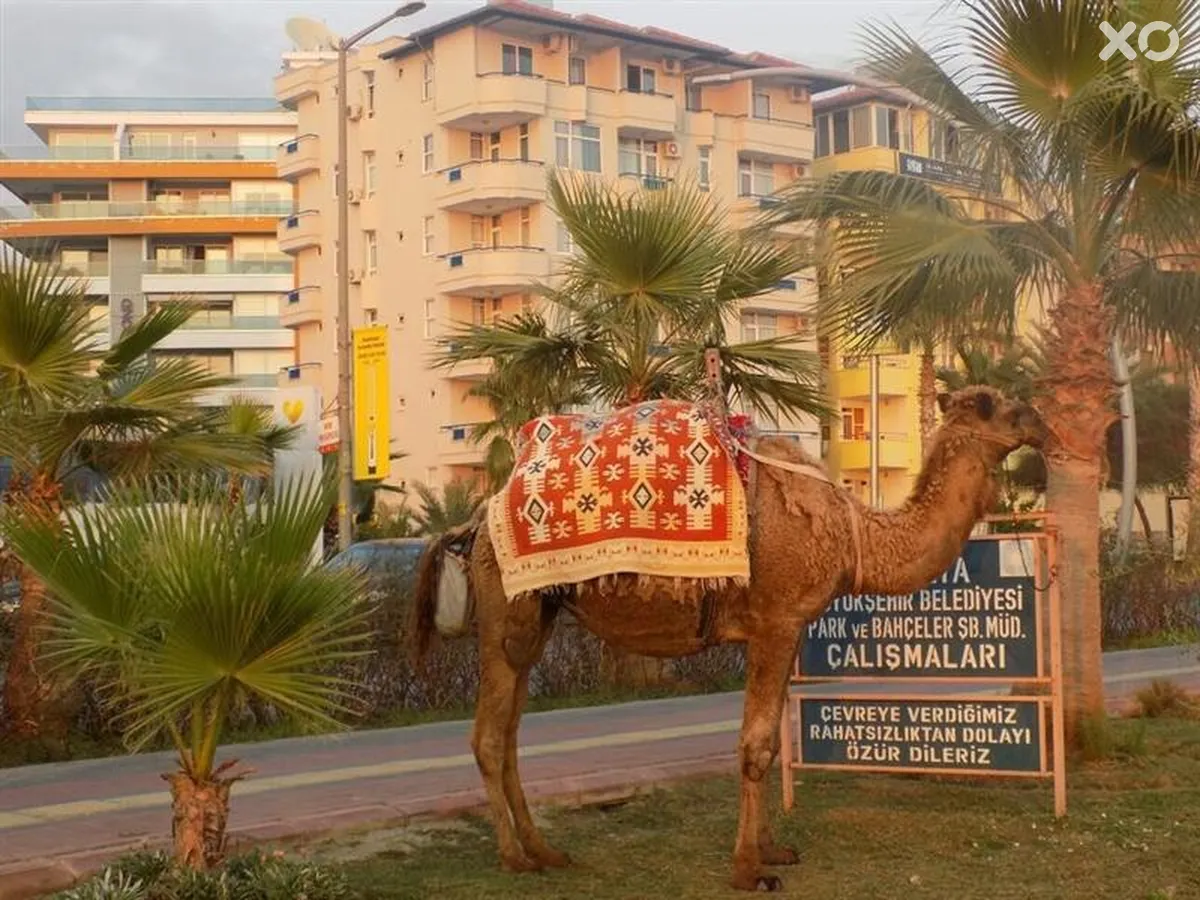 Semt Luna Beach Hotel