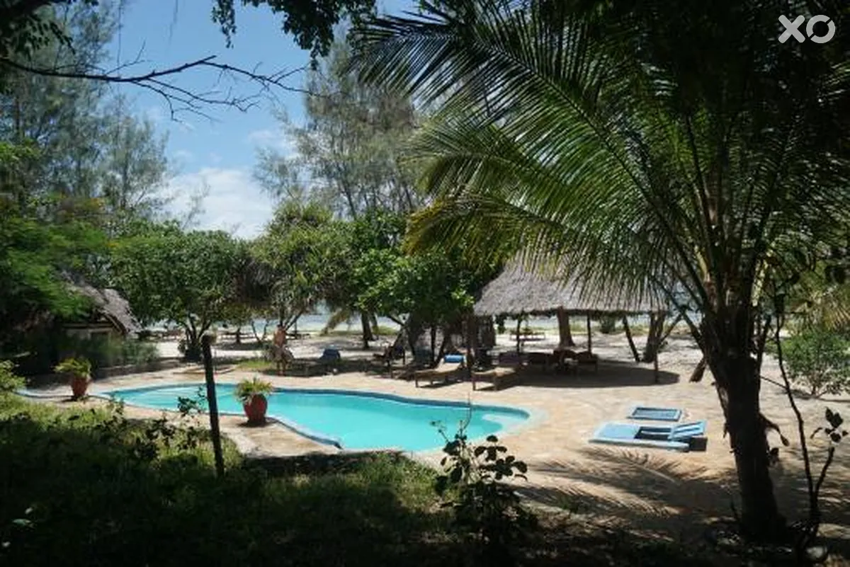 Sharazad Oasis