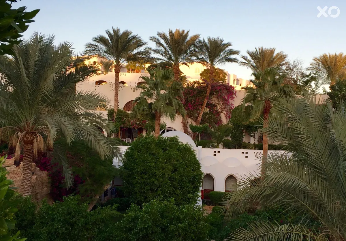 Domina Coral Bay Oasis