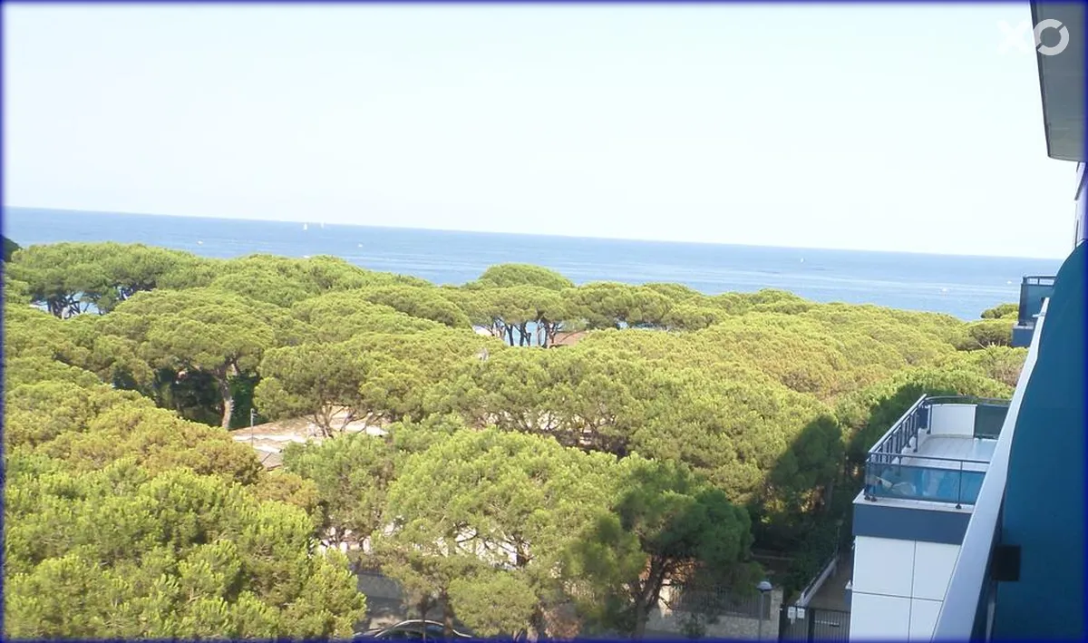 Blaucel Hotel