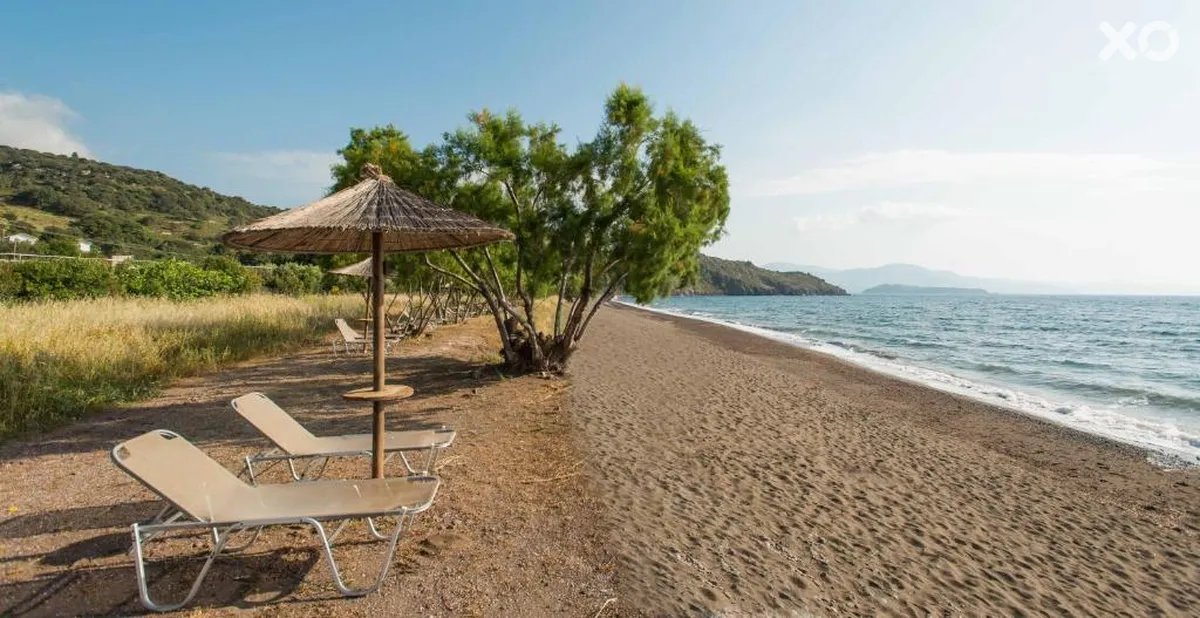 Delfinia Hotel & Bungalows