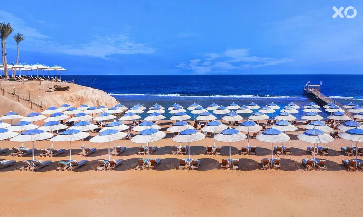 Solymar Reef Marsa