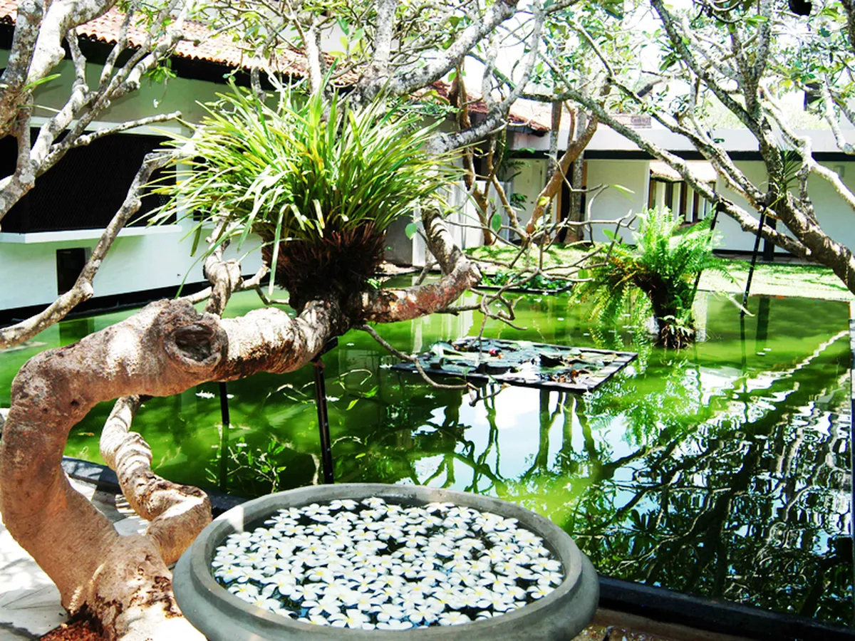Avani Bentota Resort