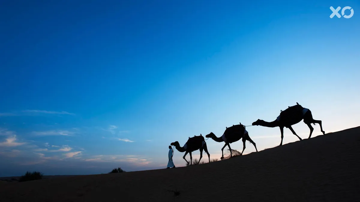Al Maha A Luxury Collection Desert Resort & Spa