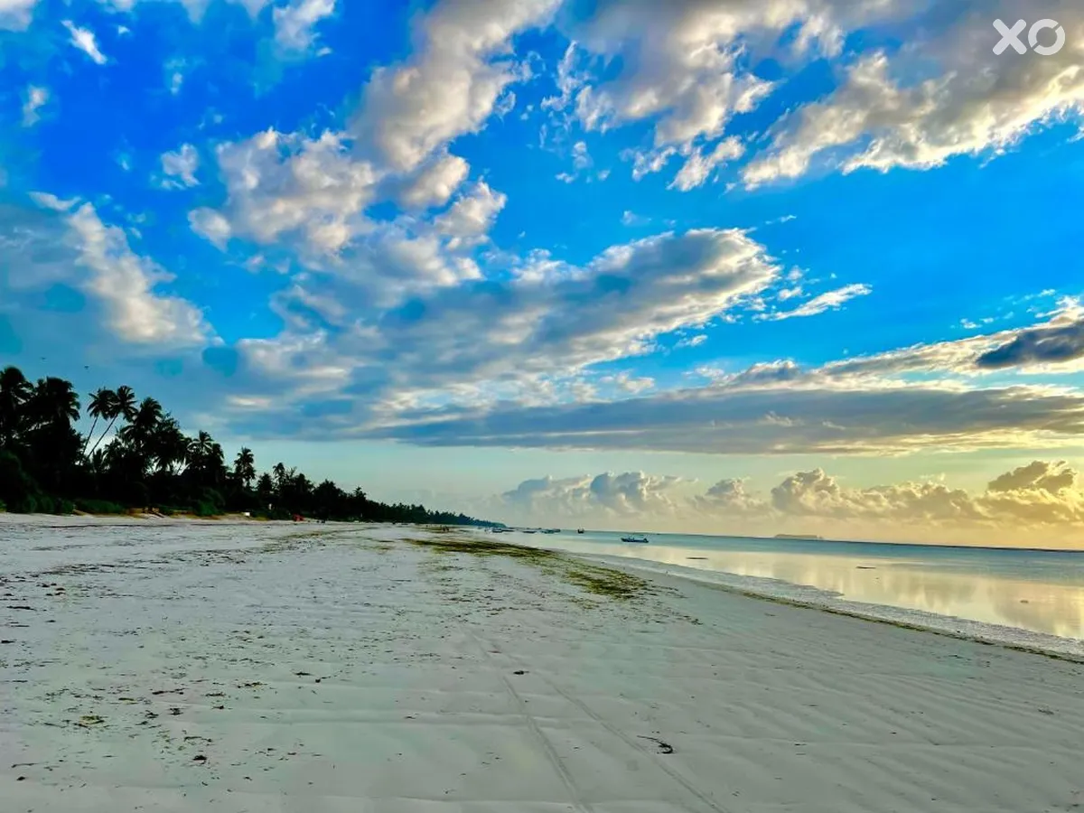 Mambo Beach Villas