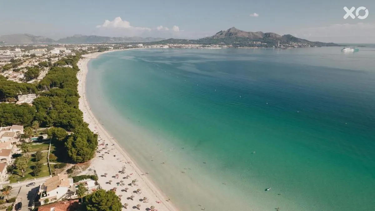 Ivory Playa Hotel