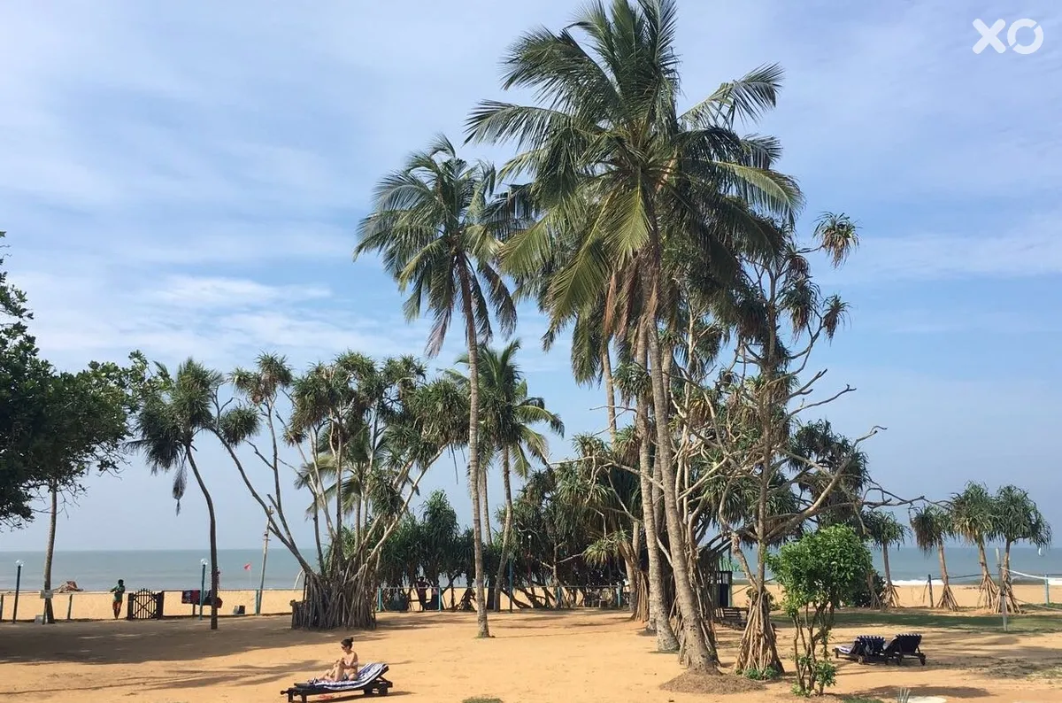 Hibiscus Beach Hotel